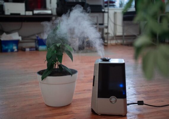 Top Air Purifiers For Allergies & Asthma